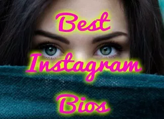 Best Instagram Bios To Get Followers: Cute Short Attitude Creative Instagram Bios